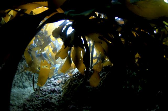三浦のビーチ堪能してきました
