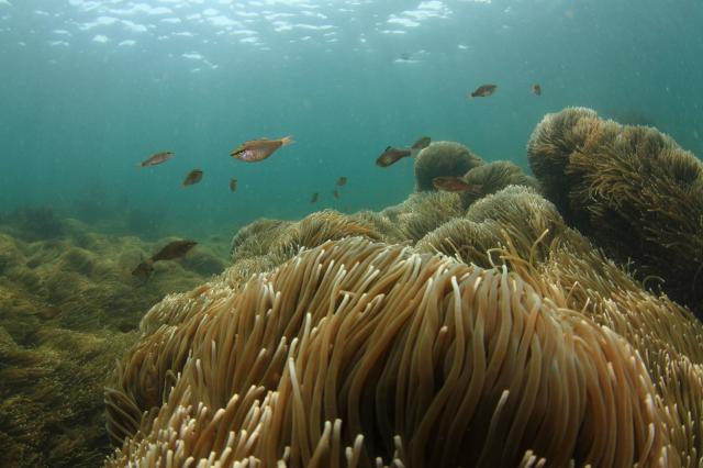 三浦のビーチ堪能してきました