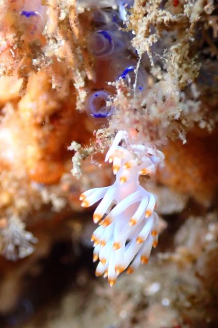 底が冷たすぎてびっくり！！