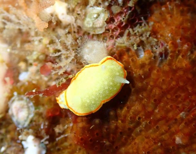 底が冷たすぎてびっくり！！