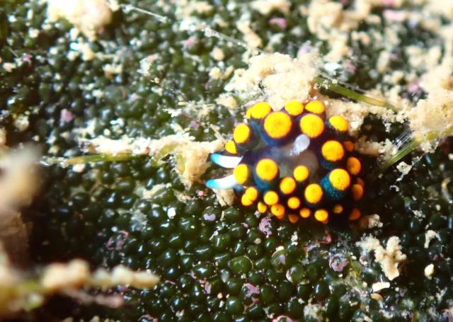 底が冷たすぎてびっくり！！