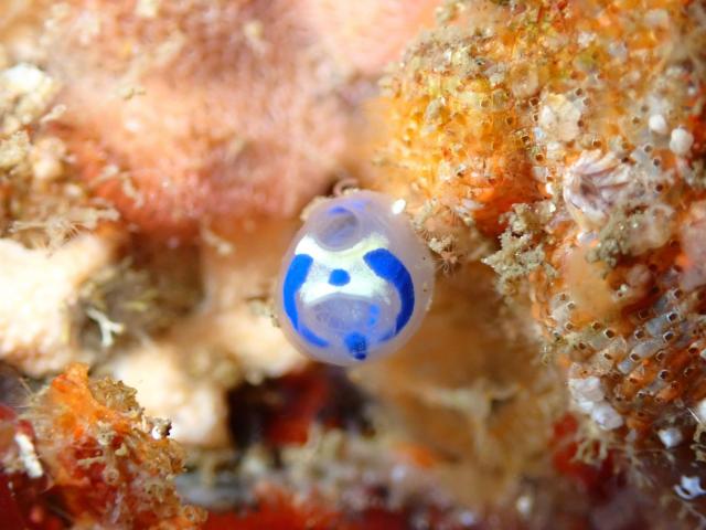 底が冷たすぎてびっくり！！