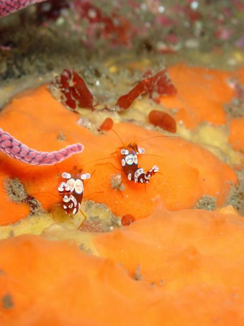 底が冷たすぎてびっくり！！