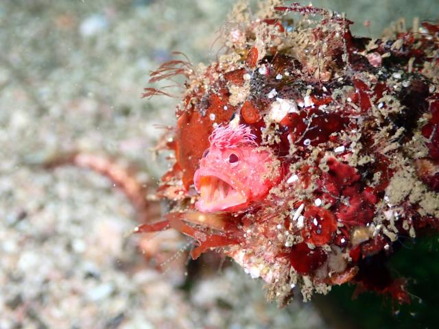 底が冷たすぎてびっくり！！