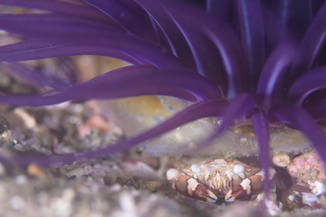 可愛らしい生物増えてきました
