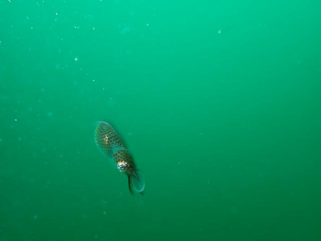 今日も青空良い天気！
