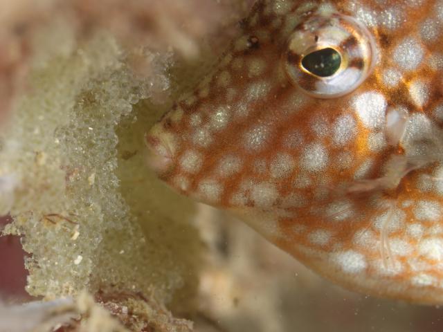 今日も青空良い天気！