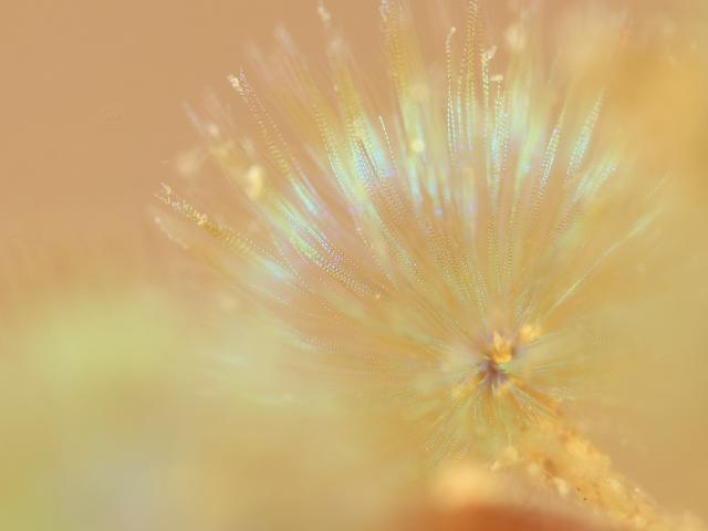 今日も青空良い天気！