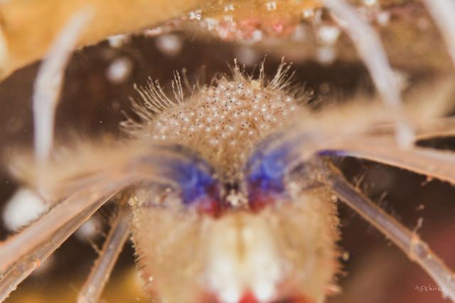 今日も青空良い天気！