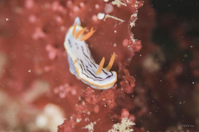 今日も青空良い天気！