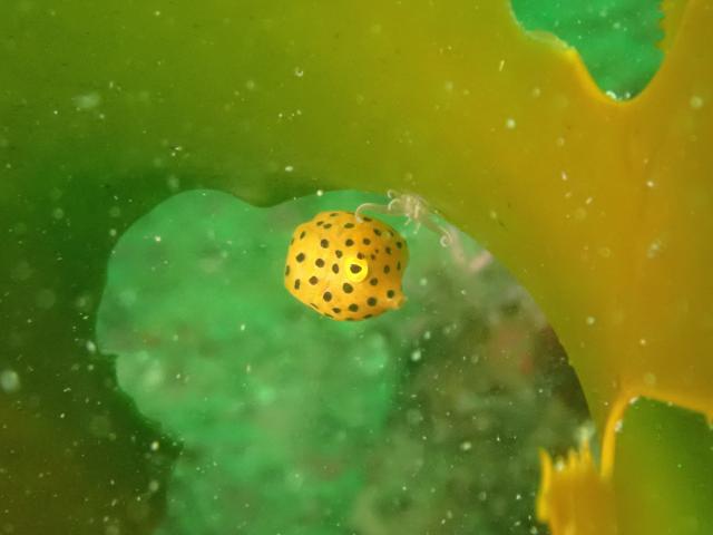 今日も青空良い天気！