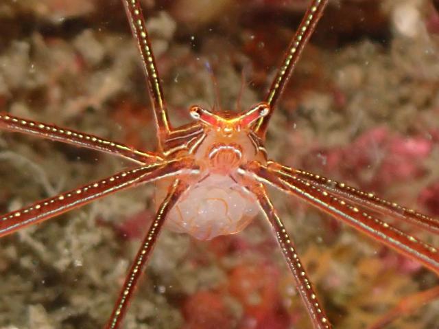 今日も青空良い天気！