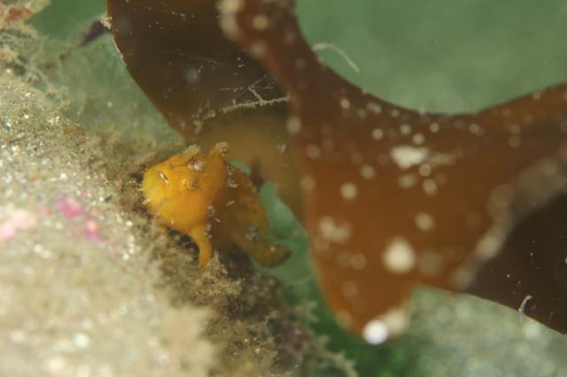 透明度が。。。。