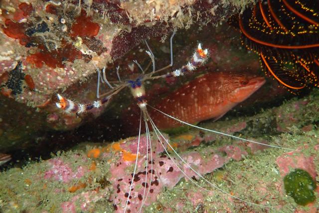 透明度が。。。。