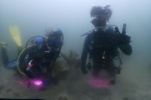 透明度が。。。。