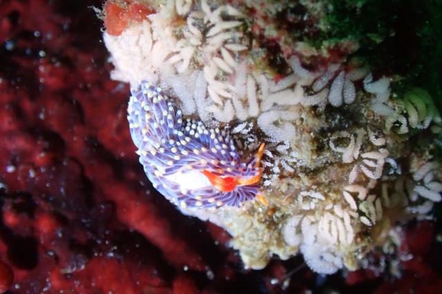 透明度が。。。。