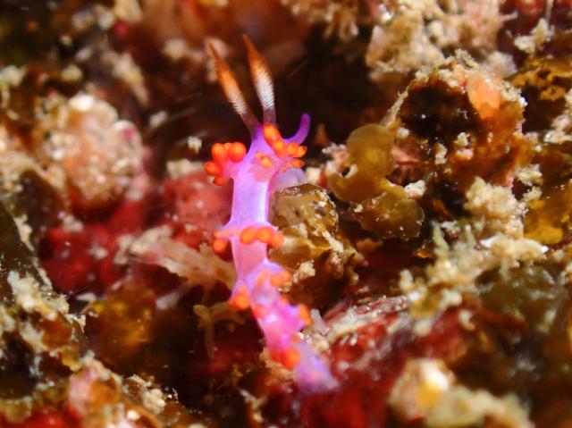 透明度が。。。。