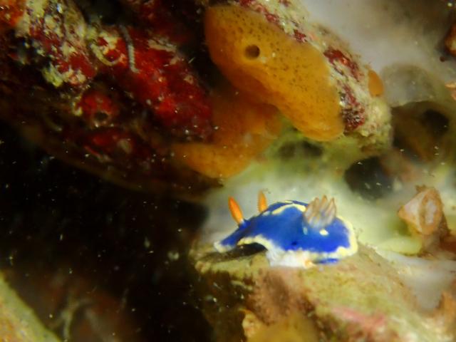 透明度が。。。。