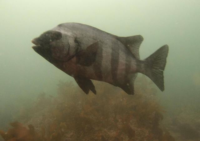 とにかく底が冷たすぎて・・・