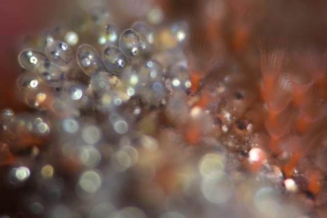 とにかく底が冷たすぎて・・・