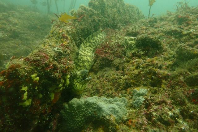 とにかく底が冷たすぎて・・・