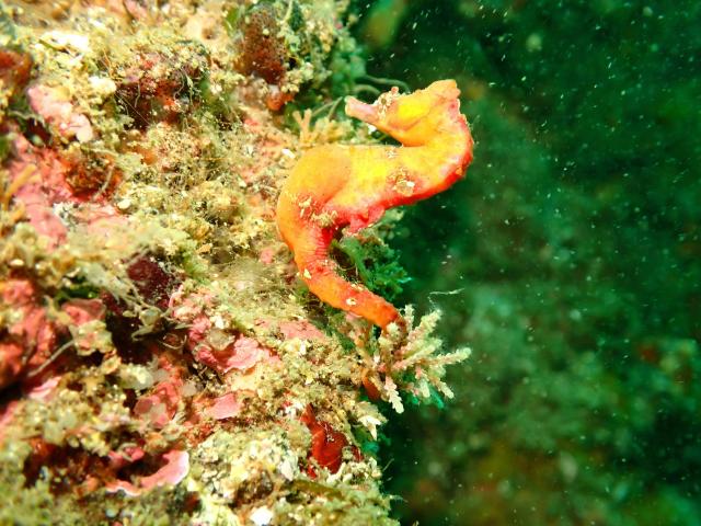 とにかく底が冷たすぎて・・・