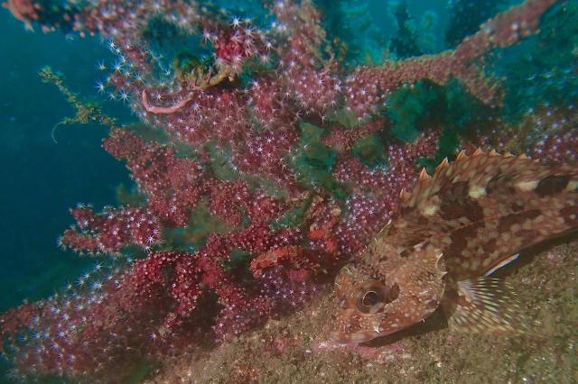 とにかく底が冷たすぎて・・・