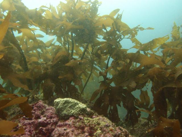 とにかく底が冷たすぎて・・・