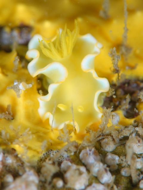 ５００本記念！！