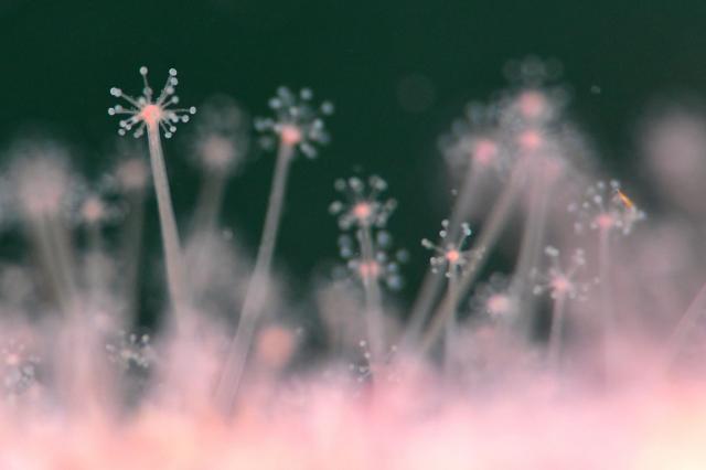 ５００本記念！！