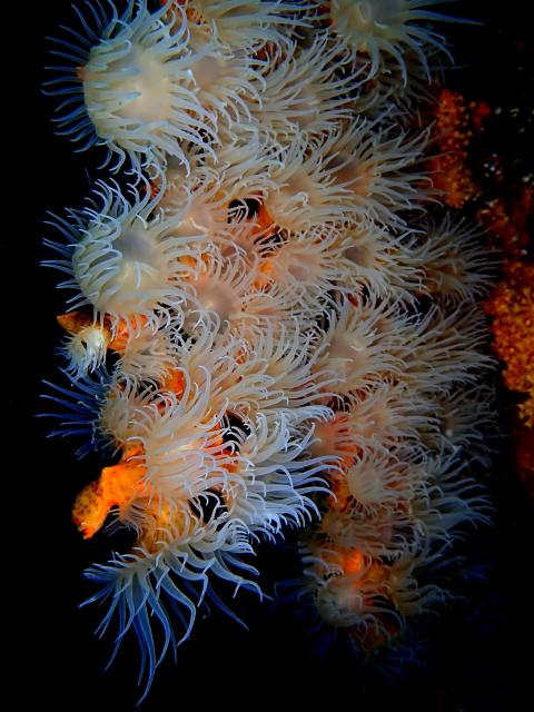 三浦も冷ため…