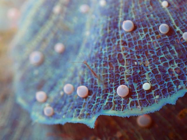 三浦も冷ため…