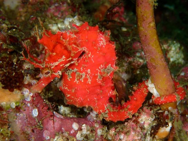 三浦も冷ため…