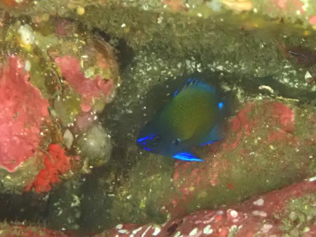 三浦も冷ため…