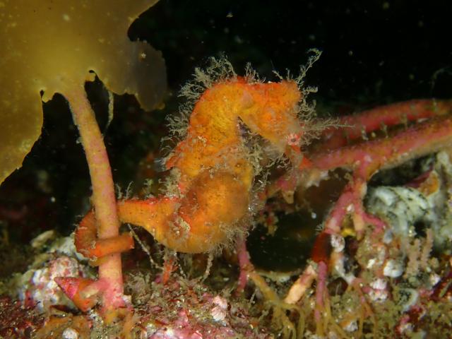 三浦も冷ため…