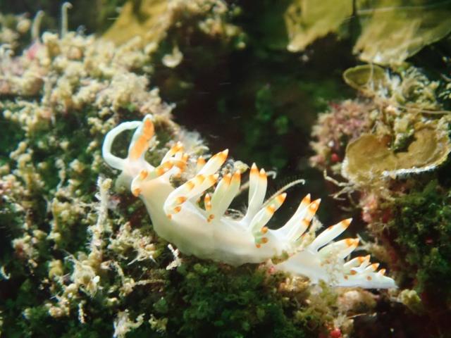 三連休最終日！