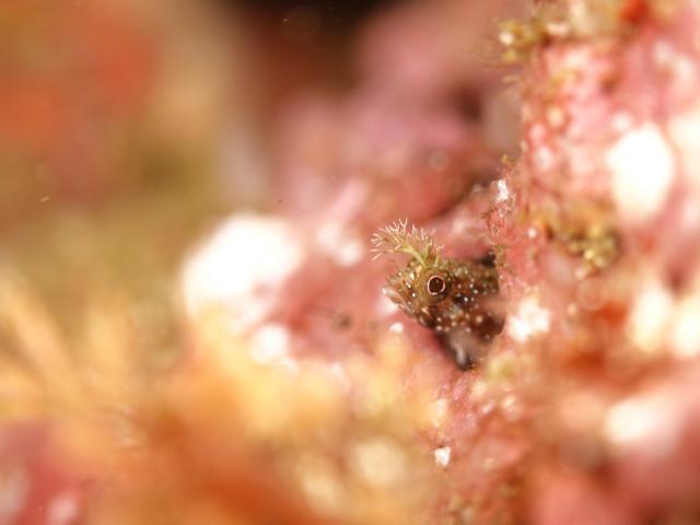 三連休最終日！