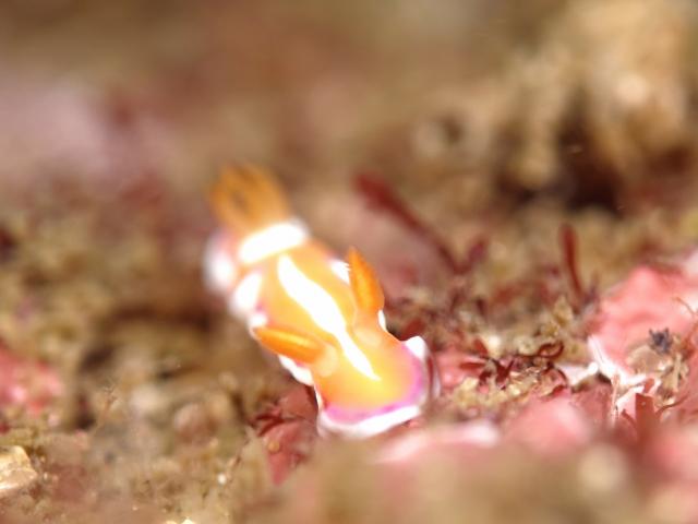 三連休最終日！