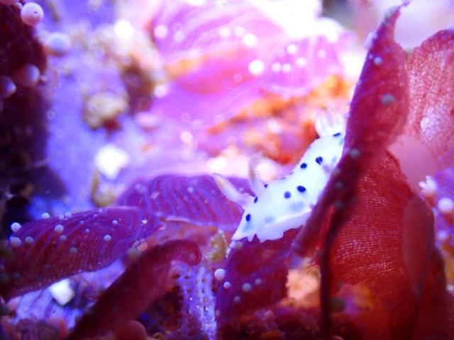 三連休最終日！