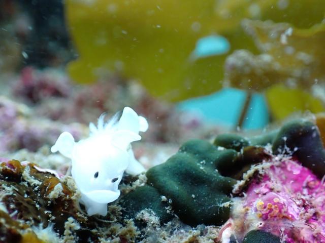 三連休最終日！