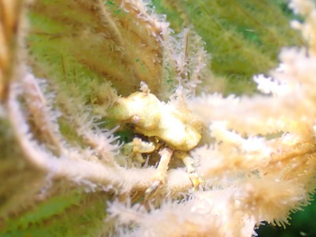 三連休最終日！