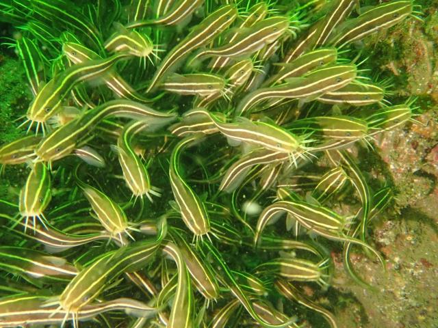 三連休最終日！