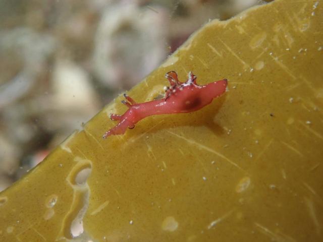 三連休最終日！