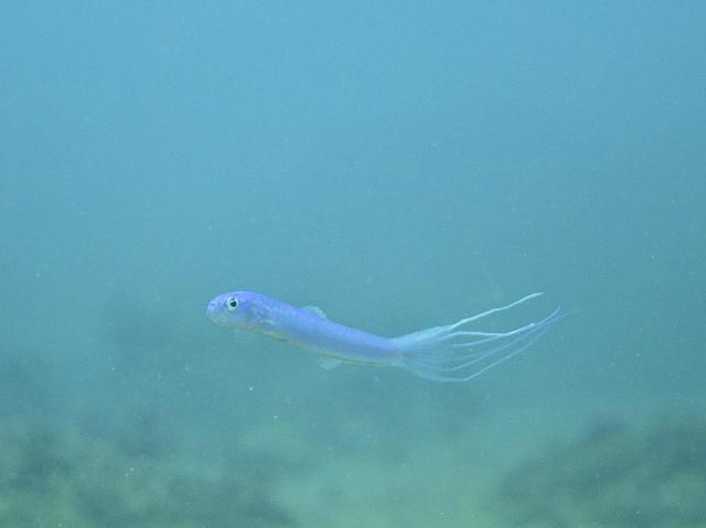 みんなで江の浦へ