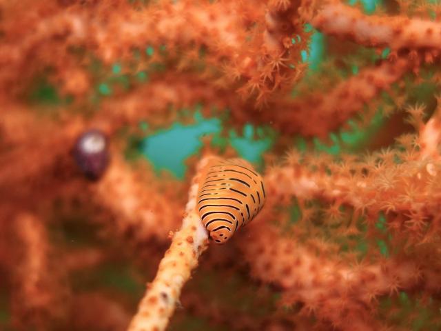 みんなで江の浦へ