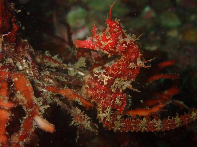 みんなで江の浦へ