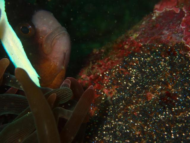 みんなで江の浦へ