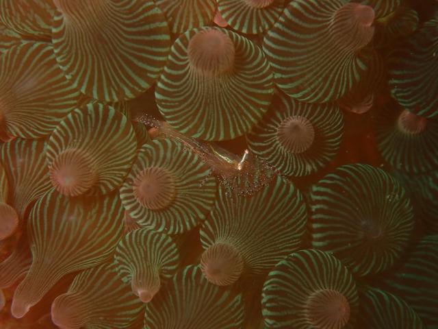 みんなで江の浦へ