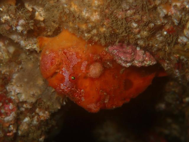 みんなで江の浦へ