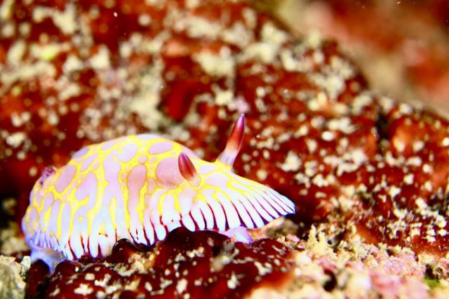 みんなで江の浦へ